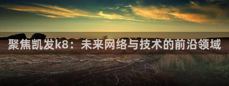 杏鑫娱乐app下载：聚焦凯发k8：未来网络与技术的前沿领域