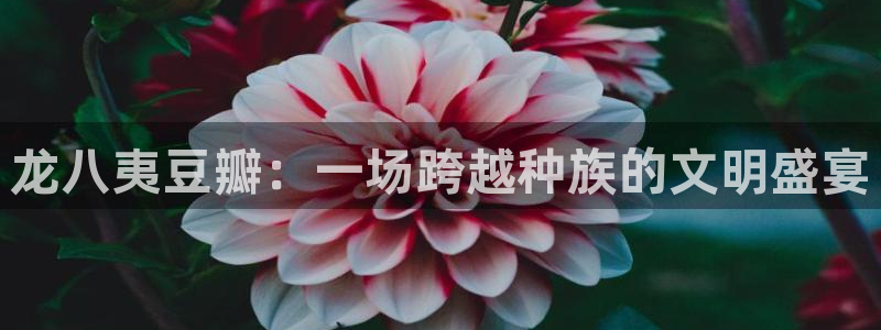 壹号大舞台