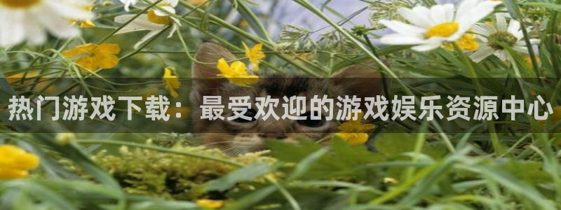 杏鑫娱乐,com：热门游戏下载：最受欢迎的游戏娱乐资源中心