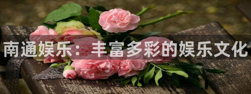 杏鑫娱乐.com：南通娱乐：丰富多彩的娱乐文化