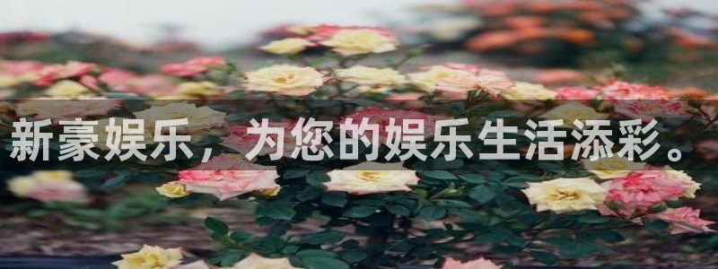 杏鑫娱乐,apk.：新豪娱乐，为您的娱乐生活添彩。