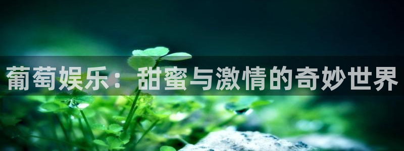 壹号平台下载：葡萄娱乐：甜蜜与激情的奇妙世界