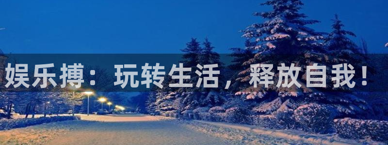 杏鑫娱乐科技赋能,让平台更有趣：娱乐搏：玩转生活，释放自我！