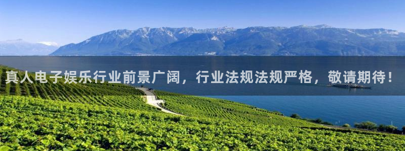 壹号app下载链接：真人电子娱乐行业前景广阔，行业法规法规严格，敬请期待！