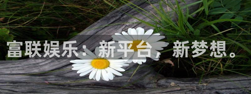 杏鑫娱乐app入口