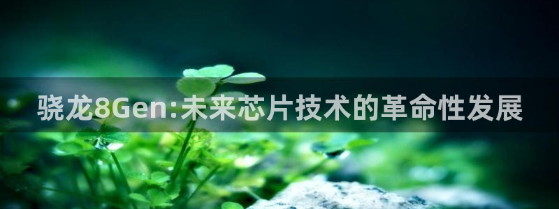 杏鑫娱乐app下载安装最新版
