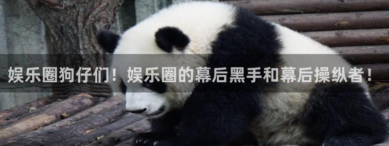 壹号大舞台下载链接