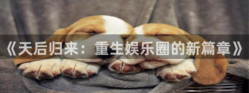 壹号电子娱乐app下载最新版本