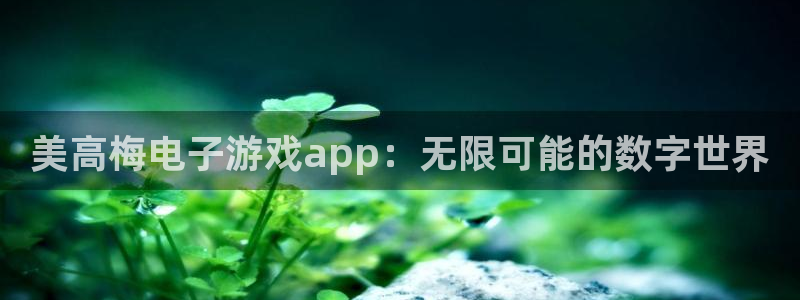 壹号平台app下载安装