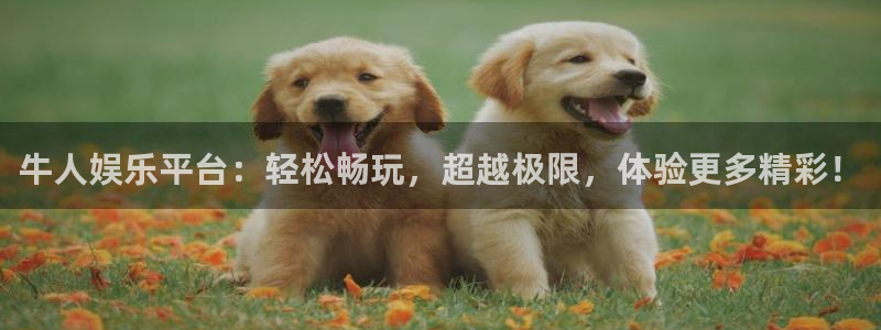 杏鑫娱乐网址