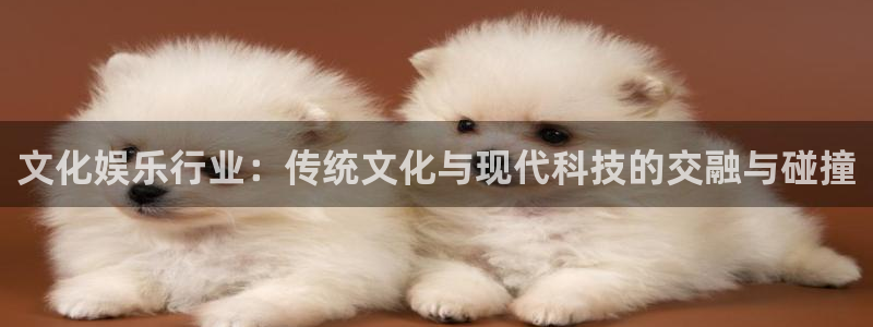 壹号电子娱乐app下载安装最新版本
