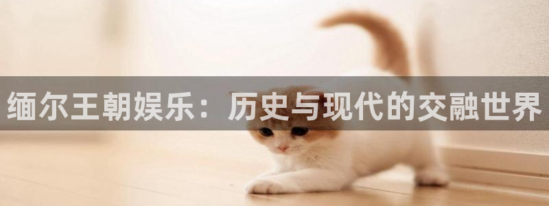 杏鑫娱乐app下载