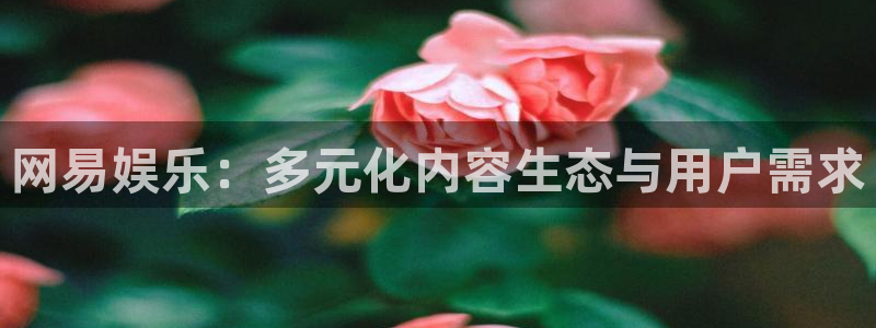 壹号大舞台怎么注册