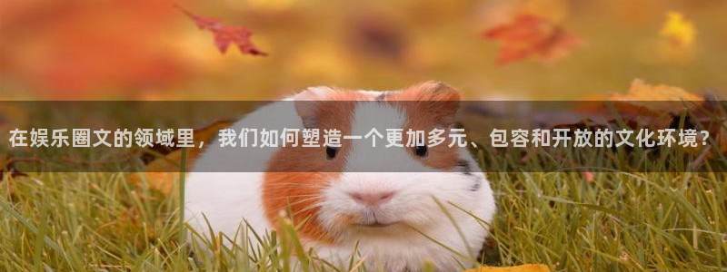 壹号电子娱乐app下载官网