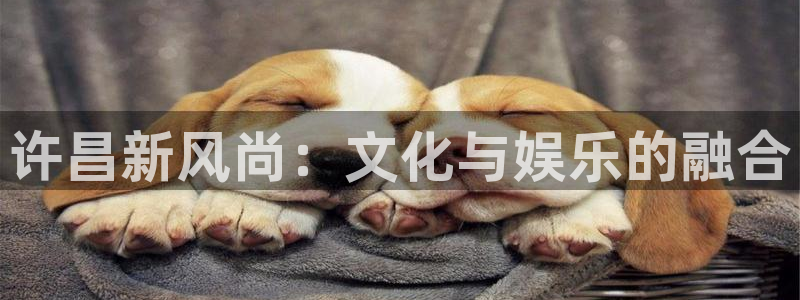 壹号大舞台入口