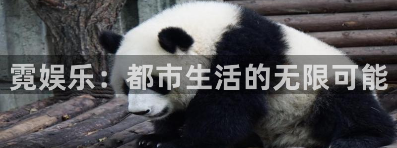 壹号电子娱乐app下载最新版本安装