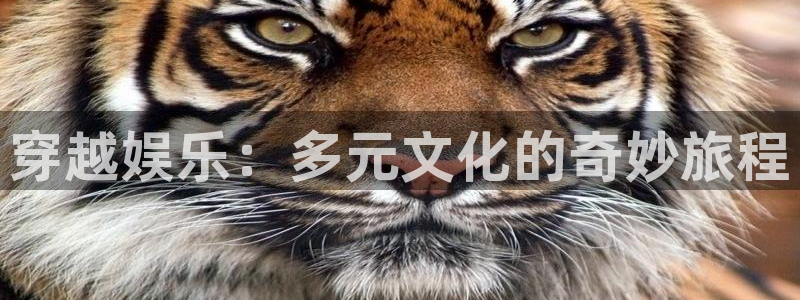 壹号大舞台28国际大舞台