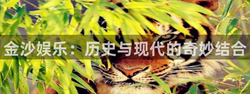 杏鑫娱乐平台app下载安装