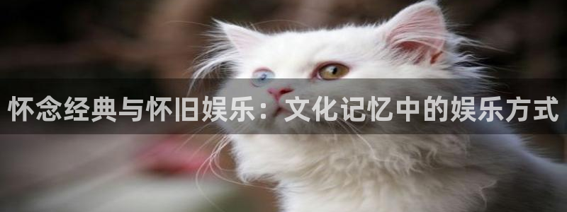壹号app下载：怀念经典与怀旧娱乐：文化记忆中的娱乐方式