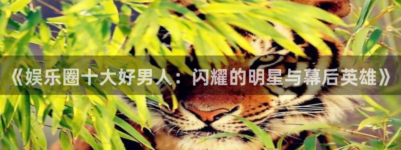 杏鑫娱乐app最新版怎么下载苹果：《娱乐圈十大好男人：闪耀的明星与幕后英雄》