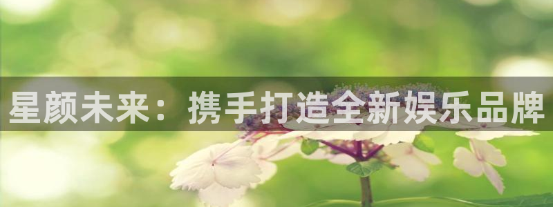 壹号电子娱乐app下载安装：星颜未来：携手打造全新娱乐品牌