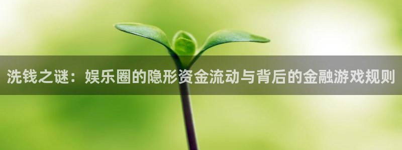 杏鑫娱乐app下载安装最新版：洗钱之谜：娱乐圈的隐形资金流动与背后的金融游戏规则