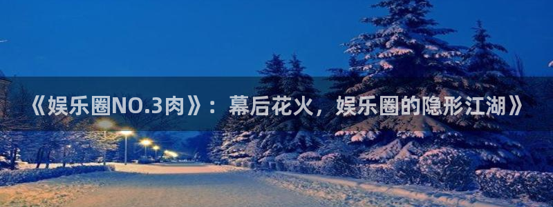 壹号下载官网入口：《娱乐圈NO.3肉》：幕后花火，娱乐圈的隐形江湖》