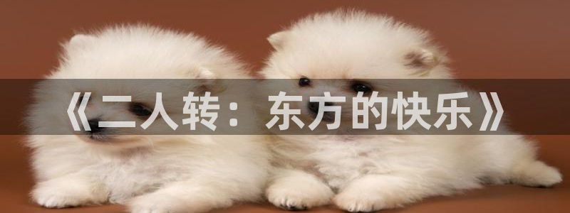 壹号top娱乐：《二人转：东方的快乐》