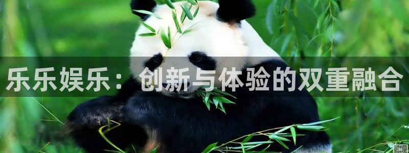 杏鑫娱乐,com：乐乐娱乐：创新与体验的双重融合