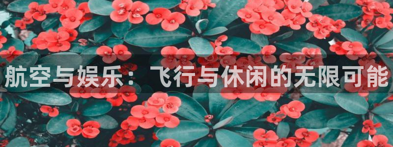 壹号电子娱乐app下载安装：航空与娱乐：飞行与休闲的无限可能