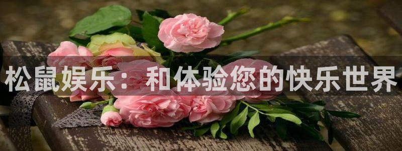 壹号下载官网入口：松鼠娱乐：和体验您的快乐世界