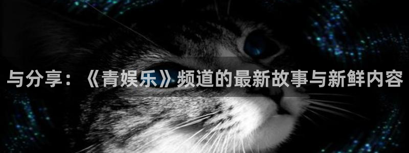 壹号下载官网入口：与分享：《青娱乐》频道的最新故事与新鲜内容